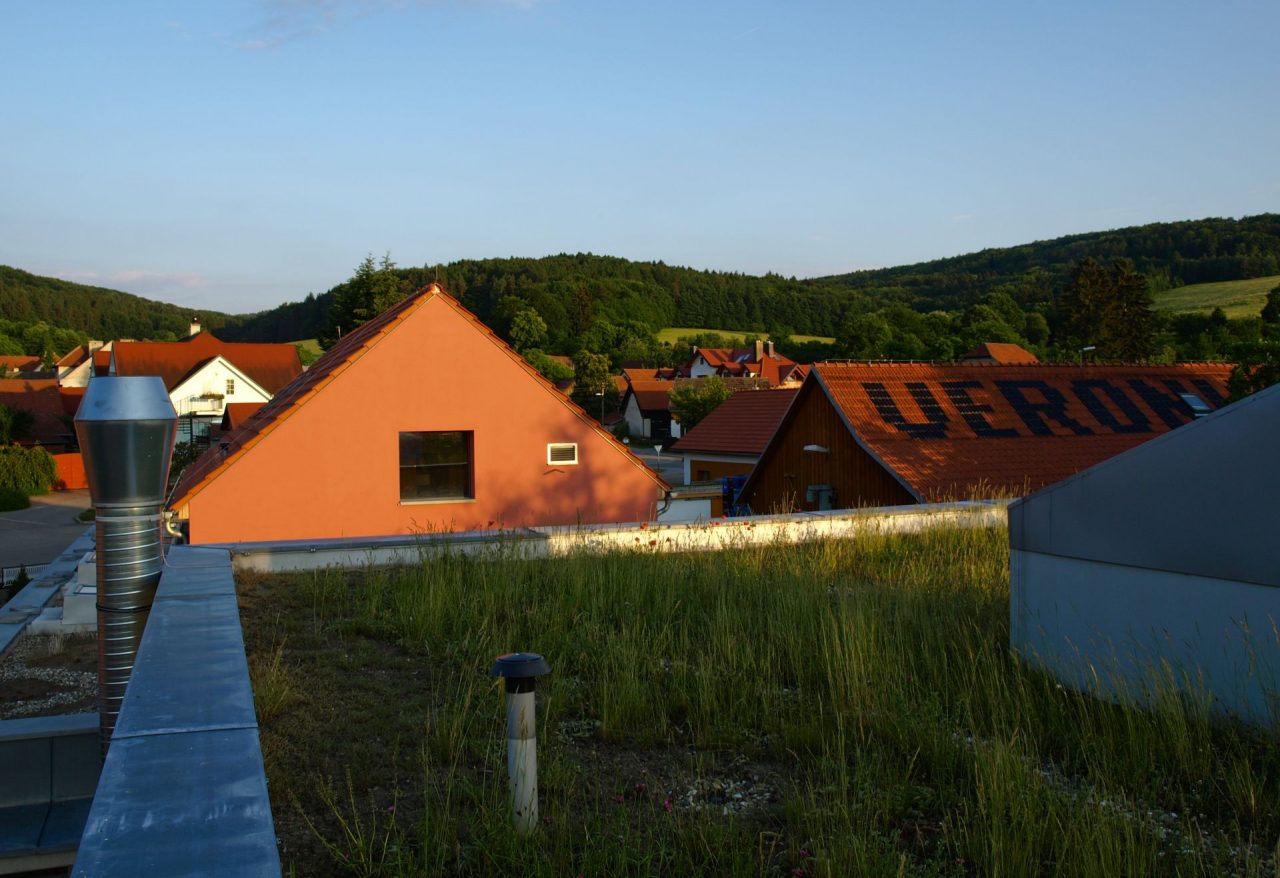 Popis: Zelená střecha na slaměných balících. Foto Michal Stránský