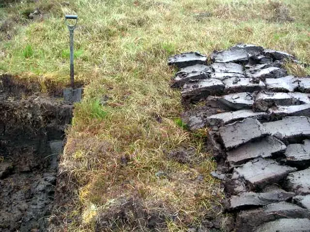 Jak mohu snížit svoji uhlíkovou stopu nepoužíváním rašeliny?